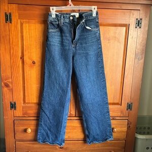 Agolde REN Blue  wide leg Jeans size 25